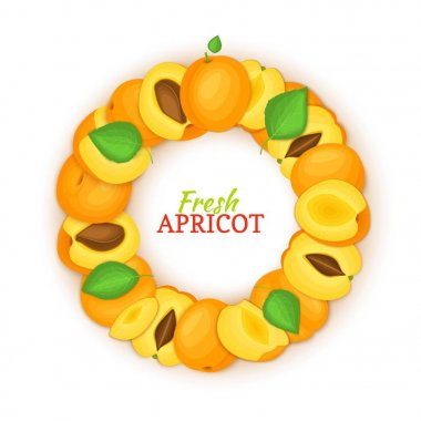 Renkli çerçeve lezzetli kayısı meyvesi oluşur. Vektör kartı çizim. Tasarım gıda ambalaj suyu kayısı taze ve sulu daire kare kahvaltı kozmetik çay detoks diyet.