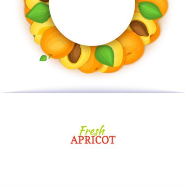 Yarım daire renkli çerçeve lezzetli kayısı meyvesi oluşur. Vektör kartı çizim. Taze kayısı yarı yuvarlak beyaz çerçeve tasarımı gıda ambalaj suyu, Kahvaltı, kozmetik çay, Detoks, diyet için