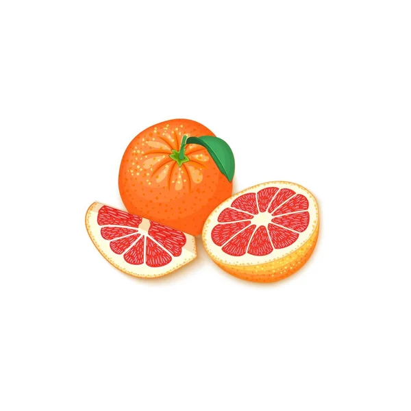 Samenstelling van tropische grapefruit vruchten. Vectorillustratie-kaart. Groep van rijpe vector pomelo citrus fruit hele en segment voor ontwerp van voedsel verpakking ontbijt, detox, cosmetica crème, jam, vruchtensap — Stockvector