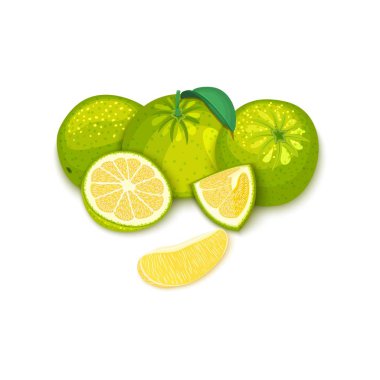 Tropikal greyfurt meyve kompozisyonu. Vektör kartı çizim. Grup olgun vektör narenciye pomelo bütün meyve ve gıda ambalaj Kahvaltı, Detoks, kozmetik krem, reçel, meyve suyu tasarımı için dilim