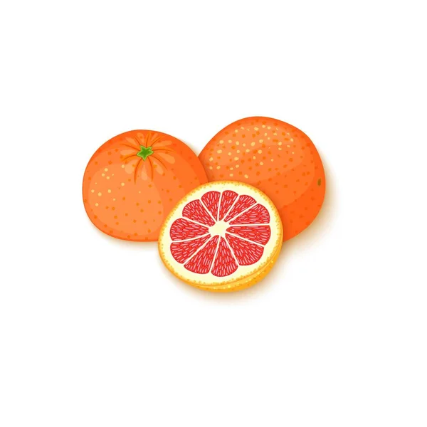 Состав тропических фруктов грейпфрута. Векторная иллюстрация карты. Группа спелых векторных цитрусовых цитрусовых и ломтиков для дизайна упаковки пищевых продуктов завтрак, детоксикация, косметические кремы, варенье, сок — стоковый вектор
