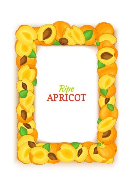 Dikey dikdörtgen renkli çerçeve lezzetli şeftali meyvesi oluşur. Vektör kartı çizim. Paketleme tasarım gıda, meyve suyu, reçel, dondurma, smoothies, Detoks, kozmetik krem kayısı çerçeve