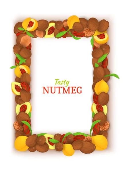 Rectangle vertical frame composed of delicious nutmeg. Vector card illustration. Nuts spice frame, nutmeg fruit in the shell, whole, shelled, leaves, for packaging design of healthy food. — Stock Vector
