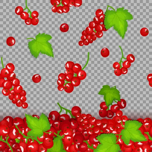 Vektorillustration fallender roter Johannisbeeren. Vektorkartenillustration. Rote Johannisbeere Früchte und Blätter nahtlos Hintergrund für Verpackungsdesign Marmelade, Eis, Smoothies, Detox, Kosmetik, Tee — Stockvektor