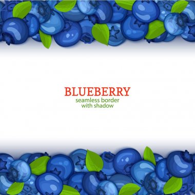 Olgun yaban mersini meyve yatay kesintisiz kenarlıklar. İllüstrasyon kart Wide vektör ve sonsuz şerit tasarımı gıda ambalaj suyu Kahvaltı, kozmetik, çay için mavi berry ile dar, detoks diyet