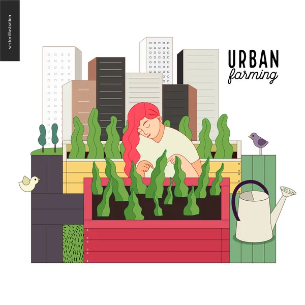 Urban farming and gardening — Stock Vector