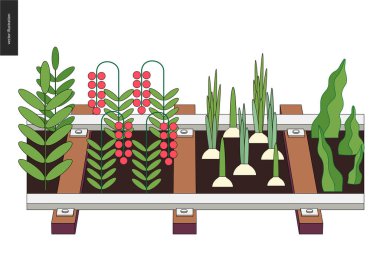 Kentsel Tarım ve on rails Bahçe