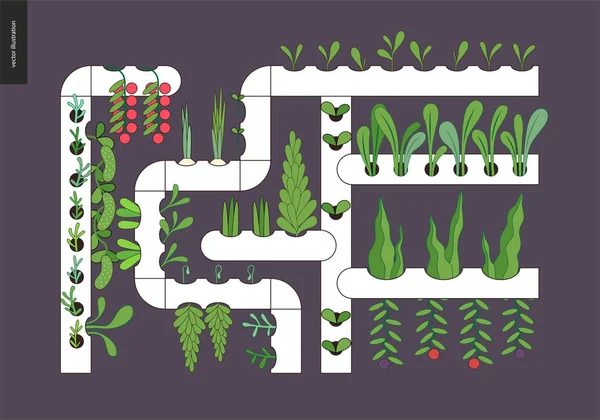 Stedelijke landbouw en tuinieren - Hydroponics — Stockvector