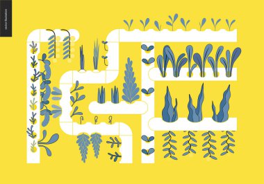 Kentsel Tarım ve Bahçe - suda