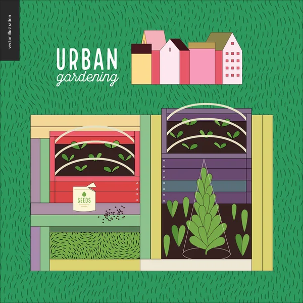 Agriculture urbaine et jardinage - lits de semences — Image vectorielle