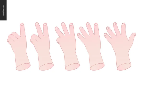 Hands vector set — Stock Vector