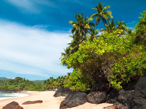 Bela paisagem em Goa — Fotografia de Stock