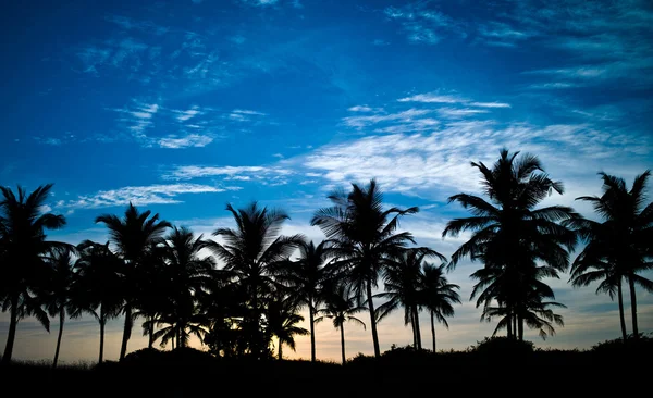 Mooi landschap in Goa — Stockfoto