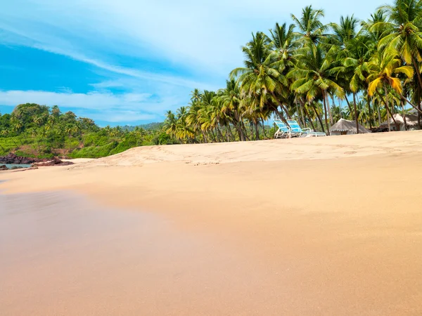 Prachtige landschap strand in goa in india — Stockfoto