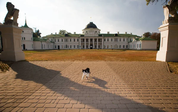 Rezerwat Kachanivka. Czernigowskaja obłast. Ukraina — Zdjęcie stockowe