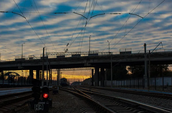 Railroad tracks at sunse — Stock Photo, Image