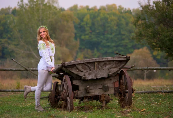 Vrouw en kar paard — Stockfoto