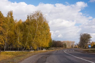 Sonbahar ve sk huş ağacı