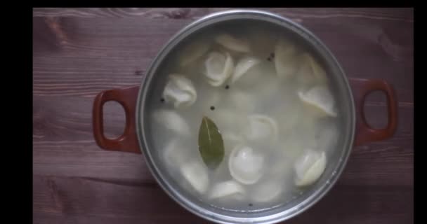 Dumplings en una sartén — Vídeos de Stock