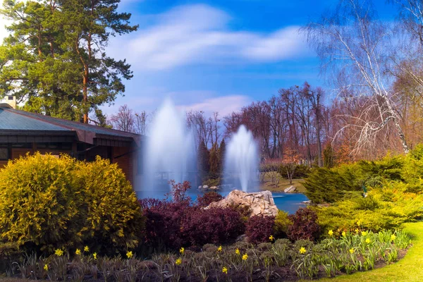 Brunnen und Natur — Stockfoto