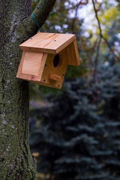 Casa de pájaros en un árbol —  Fotos de Stock