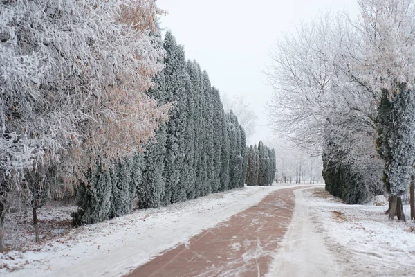 Strada invernale nel villaggio — Foto Stock