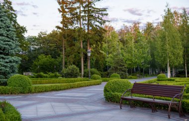 Park with trees and a bench