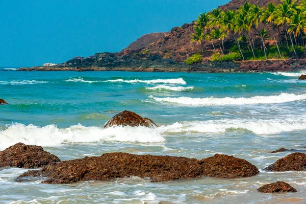 Praia com palmeiras em Goa. Índia — Fotografia de Stock