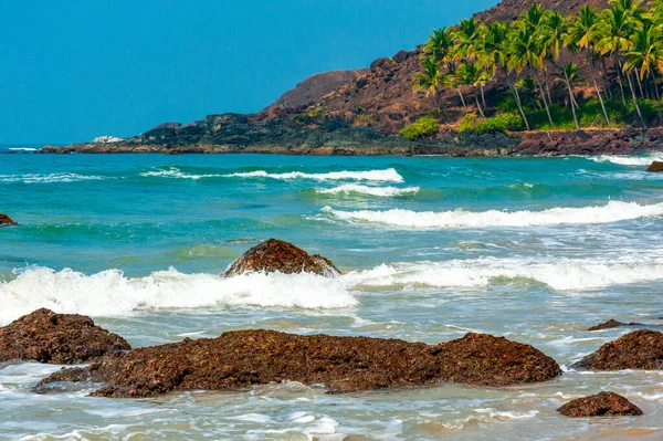 Beach with palm trees in Goa. India — Stock Photo, Image