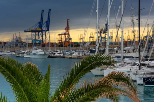 Фото Яхт Порту Города Валенсия Испания — стоковое фото