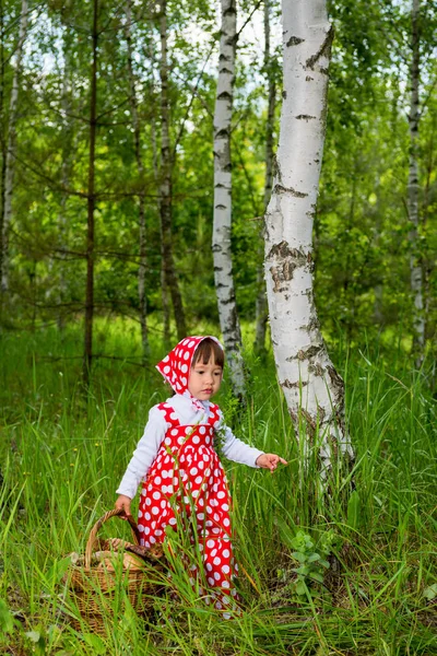 Bambina Con Cesto Funghi Nel Bosco — Foto Stock