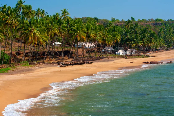 Costa Del Mare Con Palme Goa India — Foto Stock