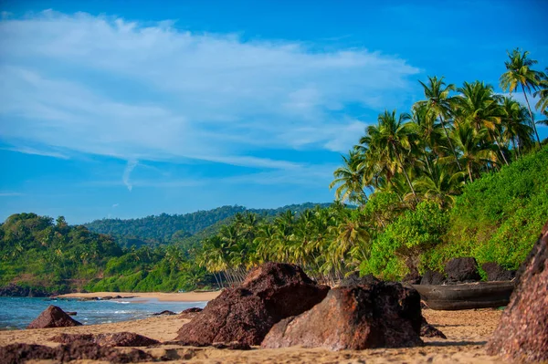 Kust Van Zee Met Palmbomen Goa India — Stockfoto