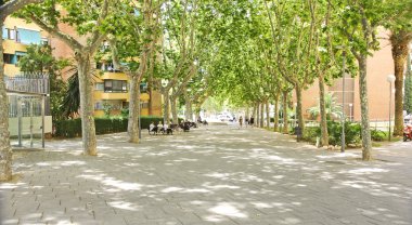 Ağaçlarda Nou Barris, Barcelona ile yürümek