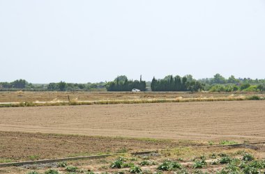 Alan Delta del Llobregat, Barcelona Ekim için hazır