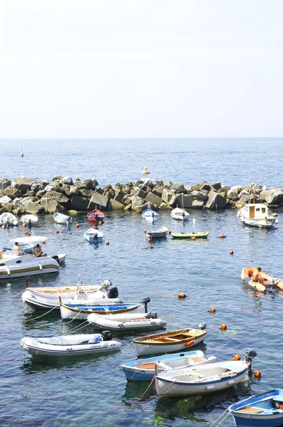 Pohled na Riomaggiore, Cinque Terre, La Spezia, Itálie — Stock fotografie