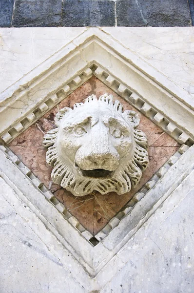 Lejonhuvud för bakgrunder av Florens katedral; Toscana, Italien — Stockfoto