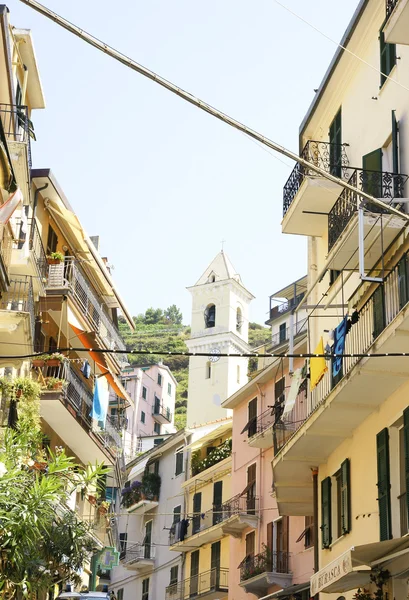 Manarola, Cinque Terre, La Spezia, Italien — Stockfoto