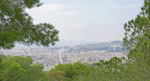 Barcelone depuis Montjuic — Photo