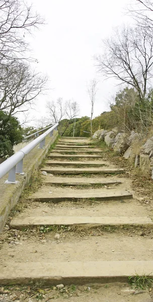 Oreneta Park Barcelona Uur December 2014 Catalunya Spanje — Stockfoto