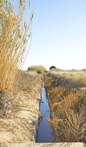 Irrigatie Kanaal Delta Del Llobregat Mei 2014 Barcelona Catalonië Spanje — Stockfoto
