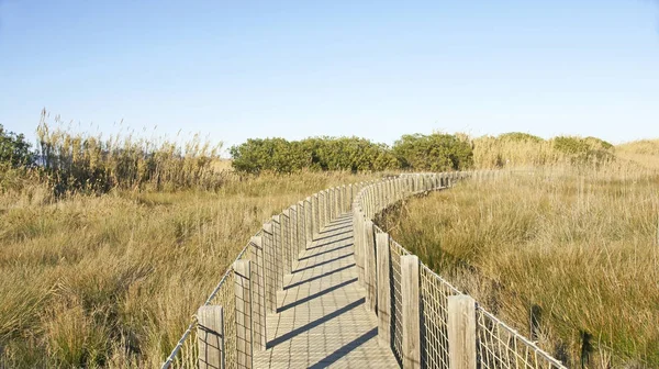 Semafor Viewpoint Delta Llobregat May 2015 Barcelona Catalunya Spain — Stock Photo, Image