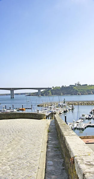 Jardines Costa Ribadeo Ría Ribadeo Región María Oriental Mayo 2016 —  Fotos de Stock