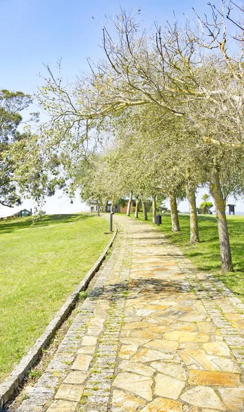 Ogrody Wybrzeżu Ribadeo Ria Ribadeo Lub Region Marii Oriental Godz — Zdjęcie stockowe