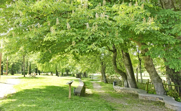 Jardins Meira 14H20 Maio 2016 Lugo Galiza Espanha Eiropa — Fotografia de Stock