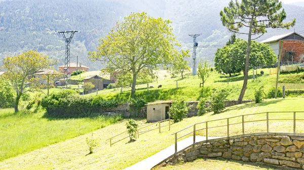 Asturias Prensliğinin Manzarası Mayıs 2018 Spanya Avrupa — Stok fotoğraf