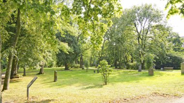 Düsseldorf 'taki bahçeler, 13: 25. ; 18 Ağustos 2016; Almanya, Avrupa