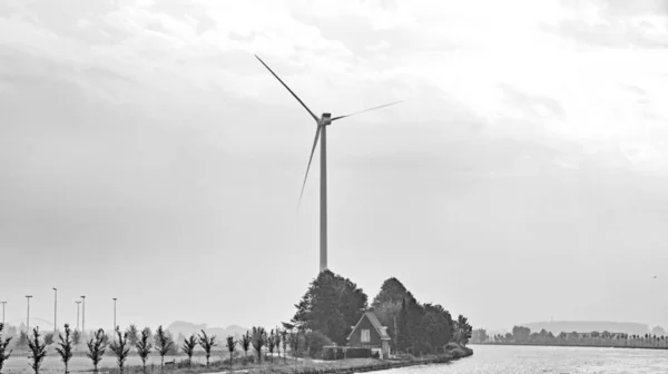 Industrie Natuur Aan Oever Van Waal Nederland Uur Augustus 2016 — Stockfoto