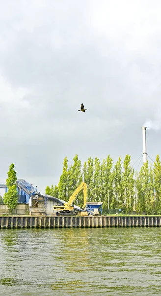 Industri Och Natur Stranden Waal River Holland Augusti 2016 Holland — Stockfoto