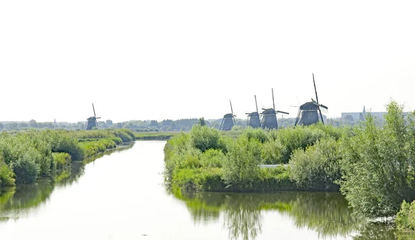 Panormica Kinderdijk Agosto 017 Holanda Pases Bajos Europa — ストック写真